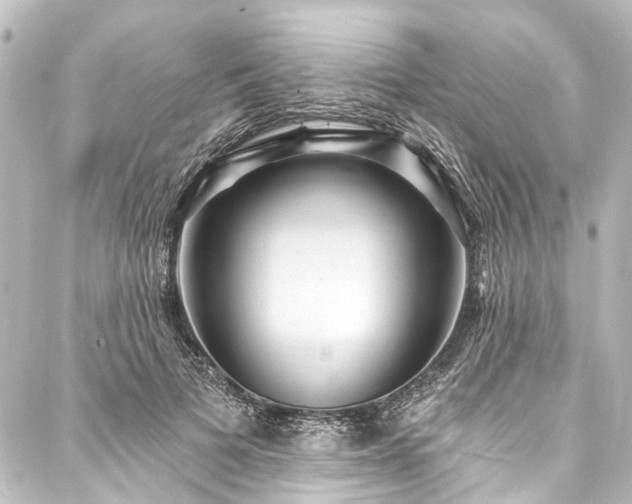 X0000088180697200705151215