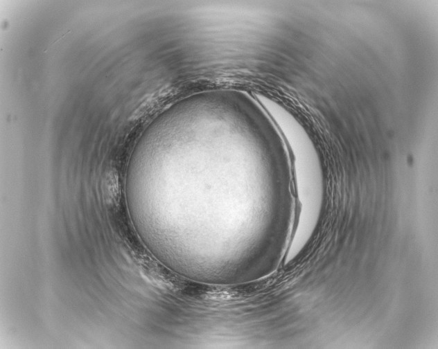 X0000088180704200705151215