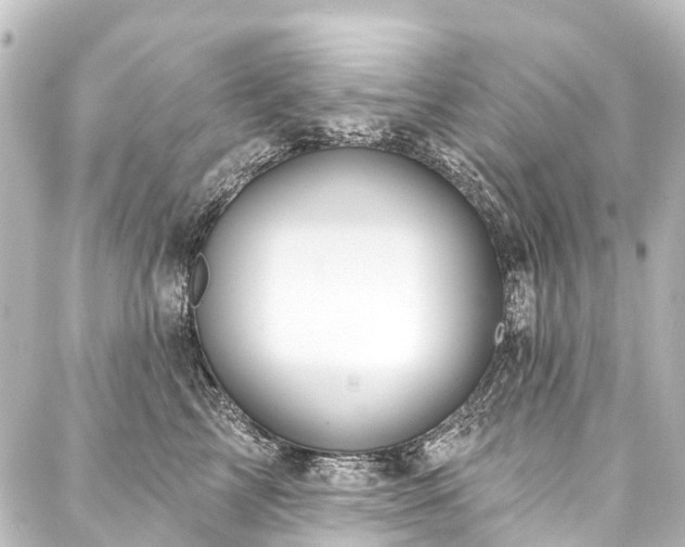 X0000088180713200705151215