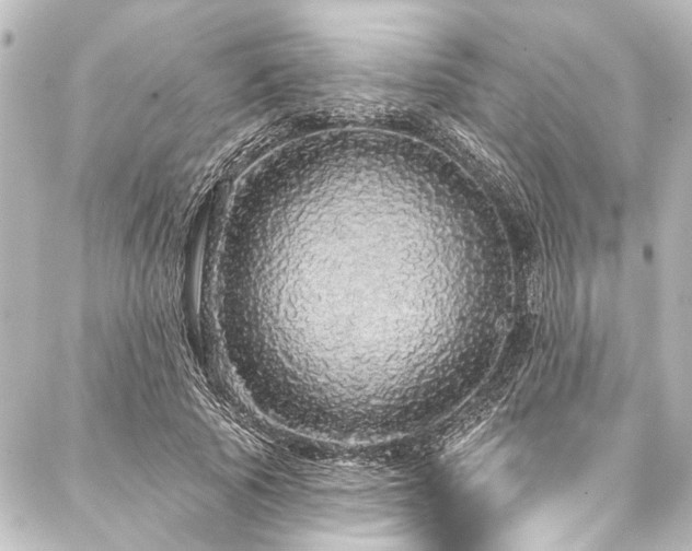 X0000088180737200705151214