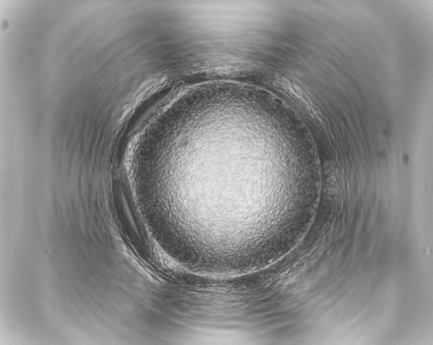 X0000088180738200705151214