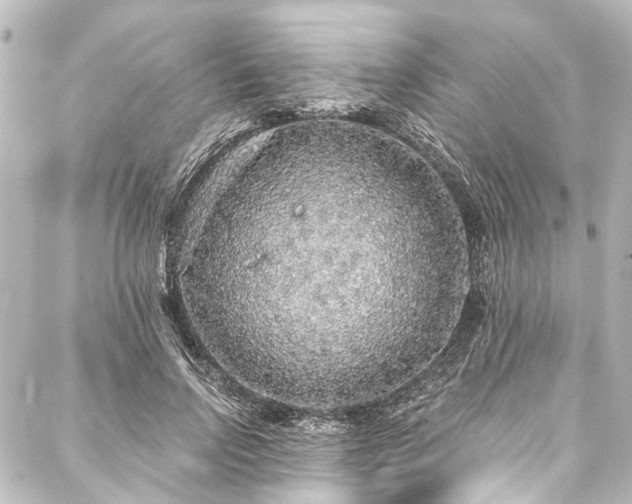 X0000088180742200705151214