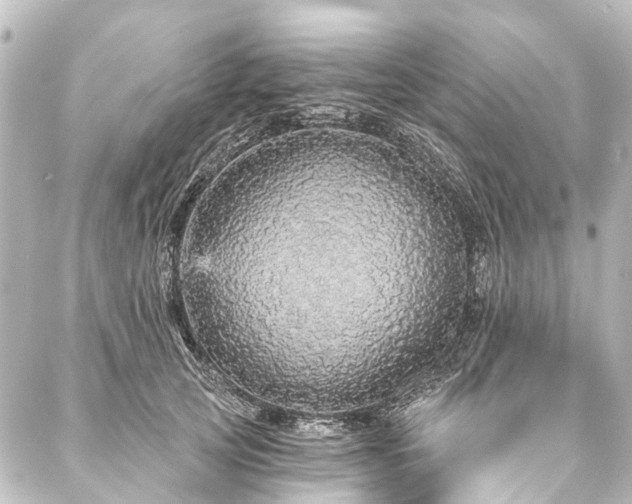 X0000088180753200705151214