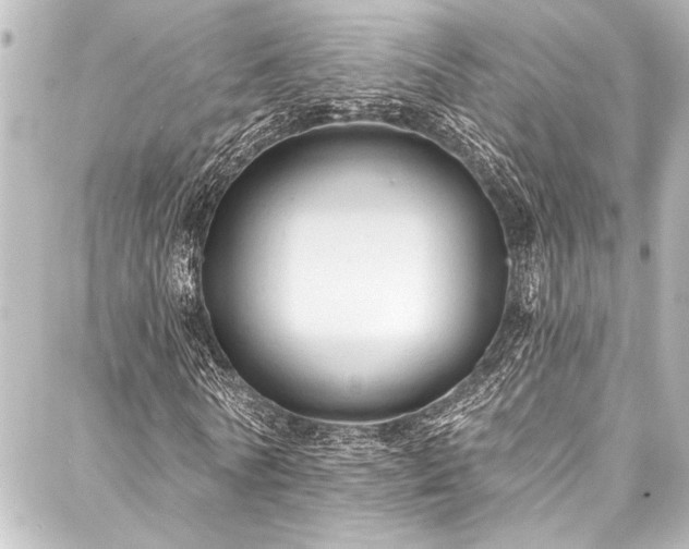 X0000088180770200705151214