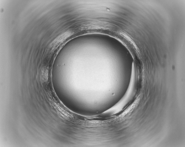 X0000088180777200705151214