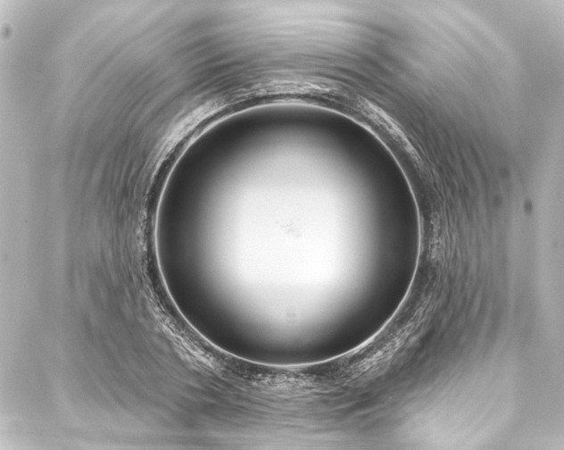 X0000088180786200705151214