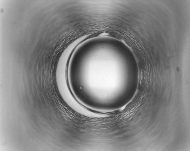 X0000088180818200705151212