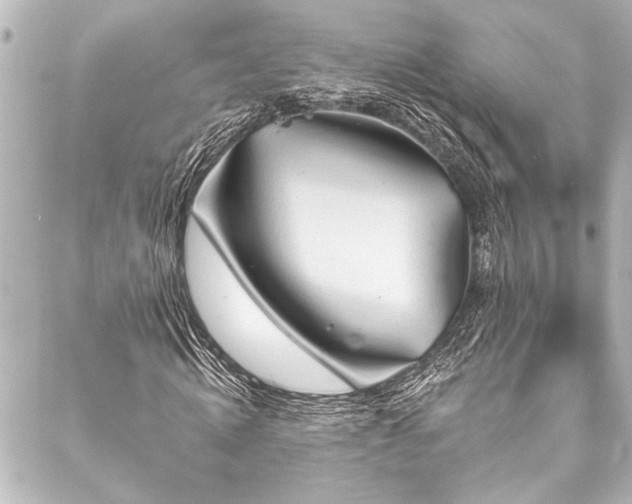 X0000088180820200705151212