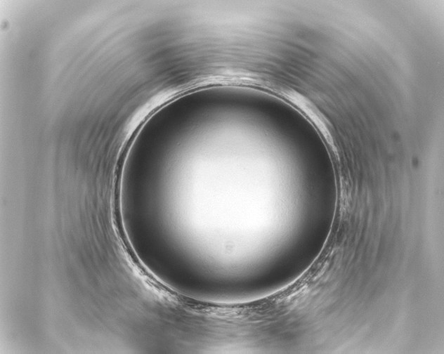 X0000088180861200705151213