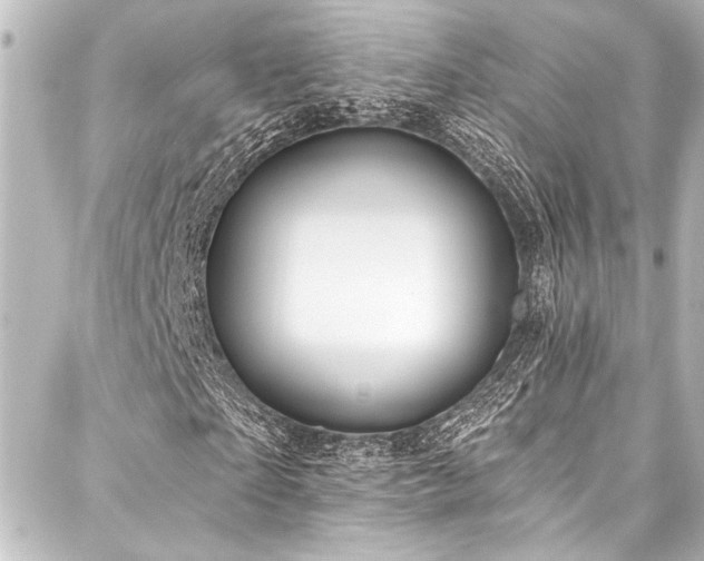 X0000088180865200705151212