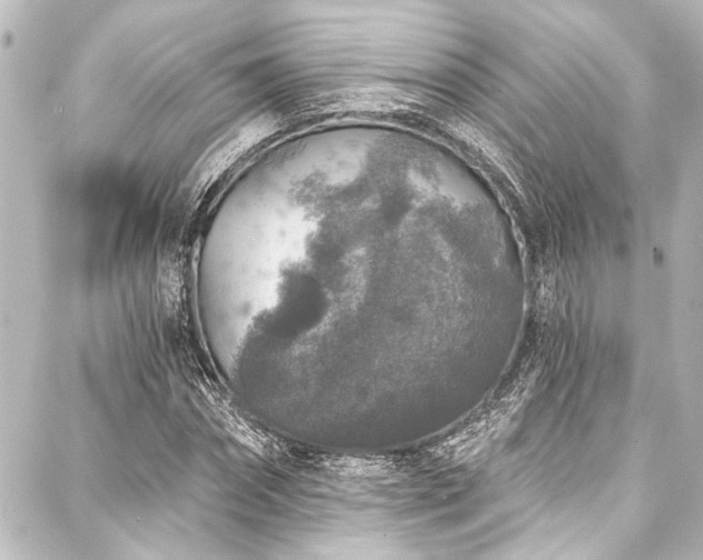 X0000088180874200705151212