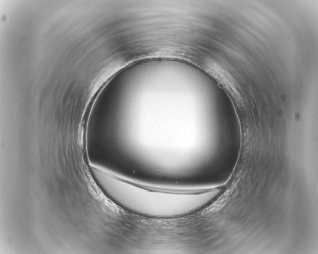 X0000088180900200705151212