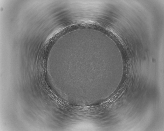 X0000088180919200705151211