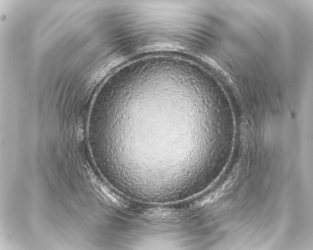 X0000088180929200705151211