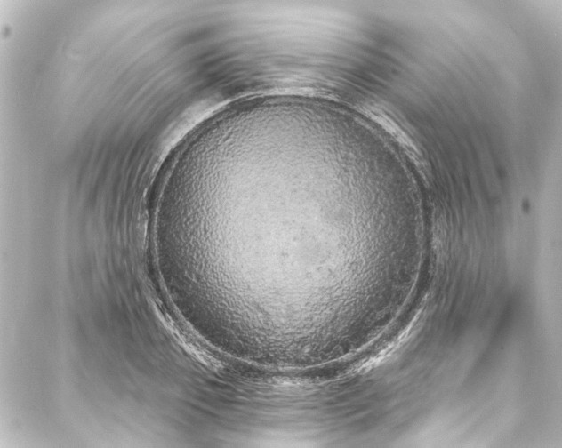 X0000088180933200705151211
