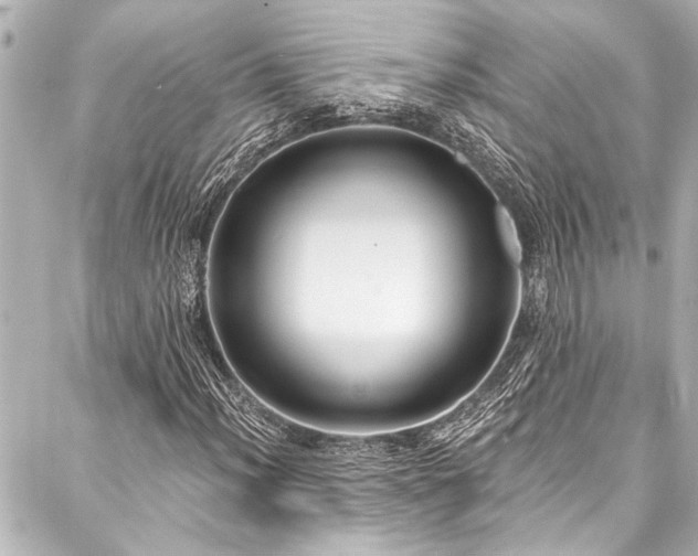 X0000088181012200705151209
