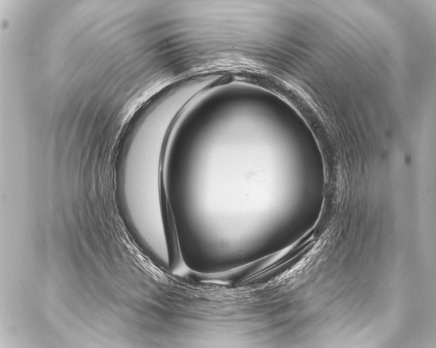 X0000088181018200705151209
