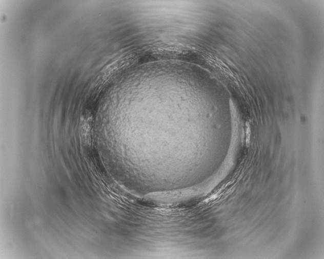X0000088181059200705151209
