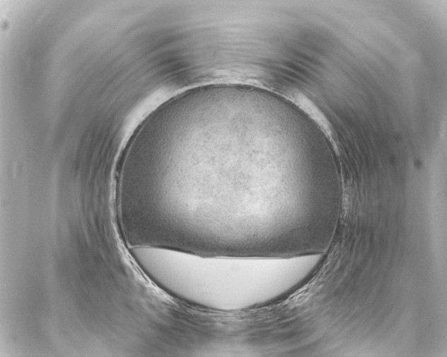 X0000088181096200705151208