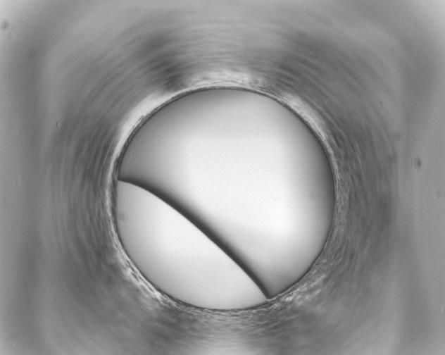 X0000088181104200705151208