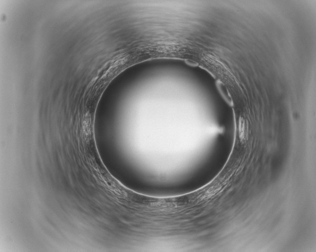 X0000088181107200705151208