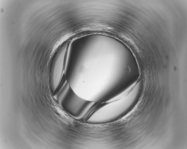 X0000088181114200705151208