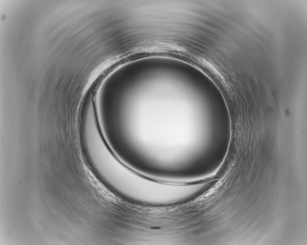 X0000088181122200705151208