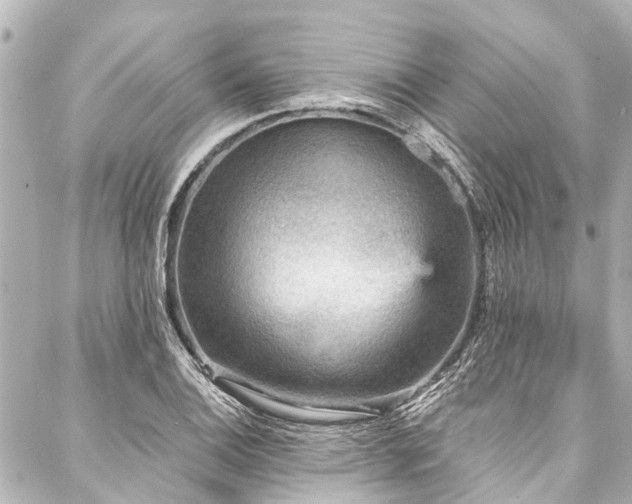 X0000088181124200705151208