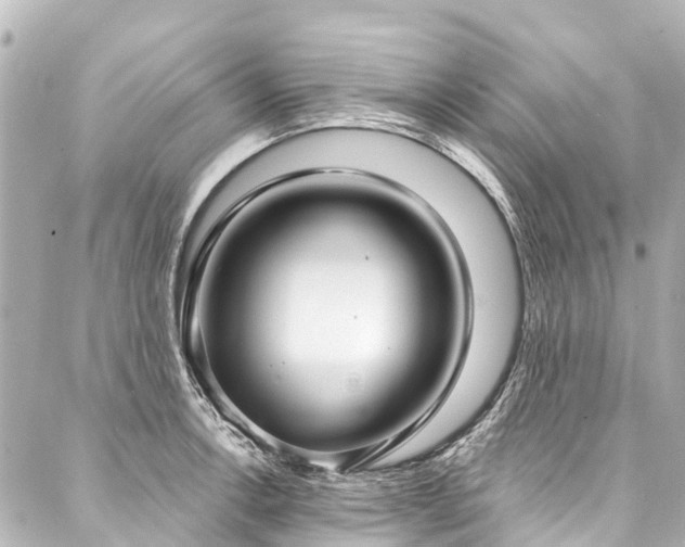 X0000088181138200705151208