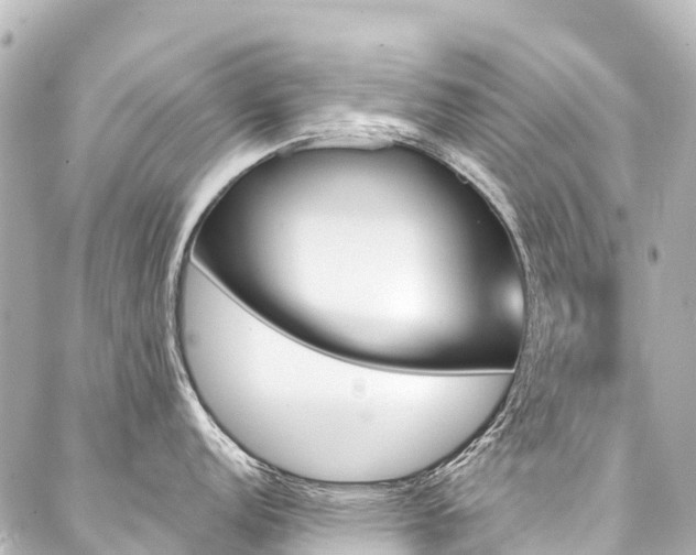 X0000088181152200705151208