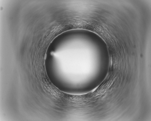X0000088181153200705151208