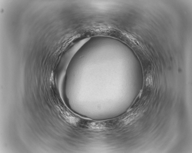 X0000088181156200705151208