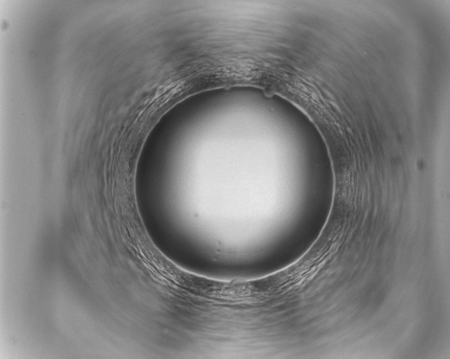 X0000088181201200705151206