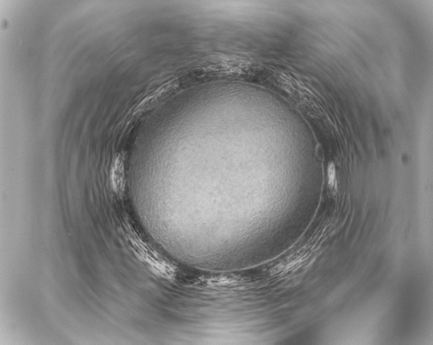 X0000088181203200705151206