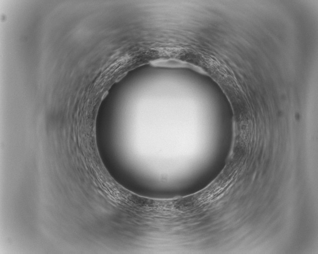 X0000088181249200705151206