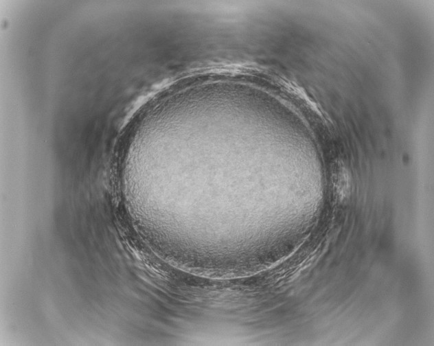 X0000088181256200705151206