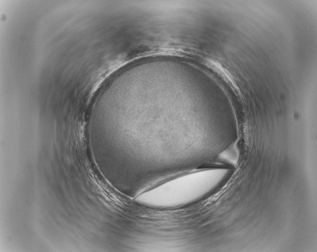 X0000088181260200705151206