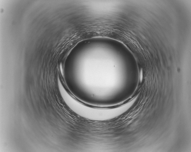 X0000088181298200705151204
