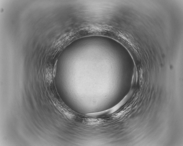 X0000088181348200705151204