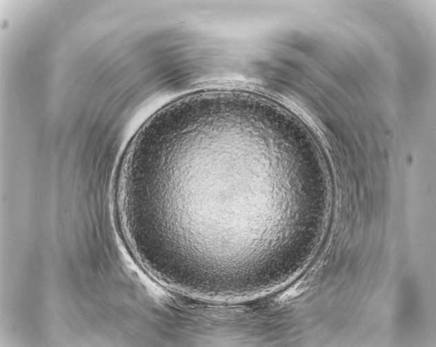 X0000088181440200705151204