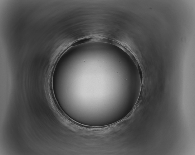 X0000088180001200705221651