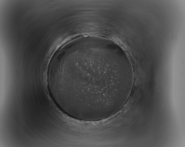 X0000088180002200705221651
