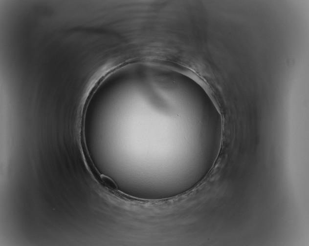 X0000088180003200705221651
