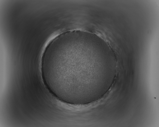 X0000088180006200705221651