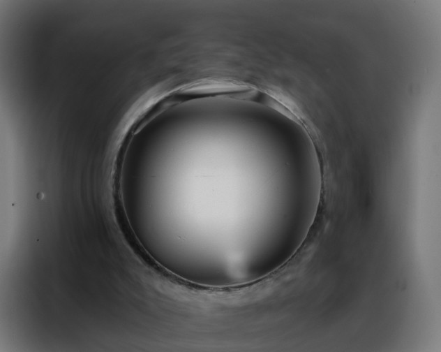 X0000088180007200705221651