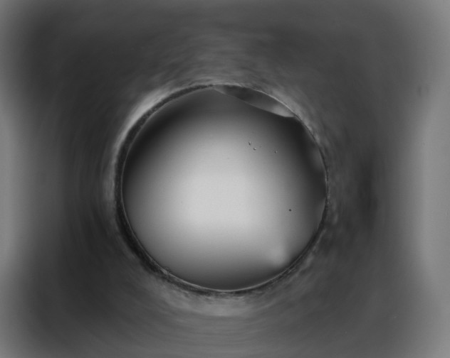 X0000088180008200705221651