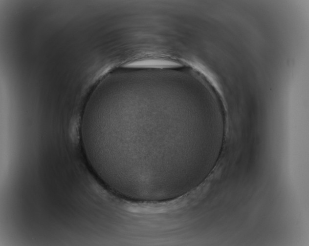 X0000088180009200705221651