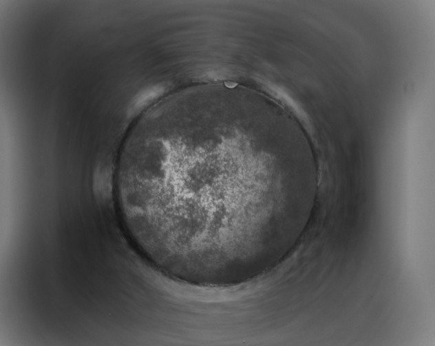 X0000088180010200705221651