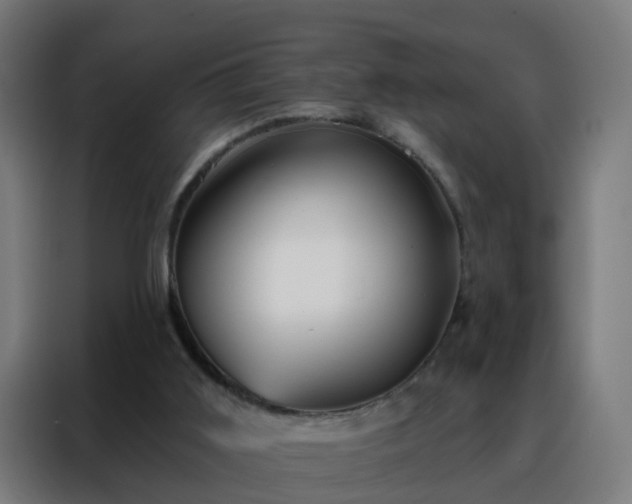 X0000088180011200705221651