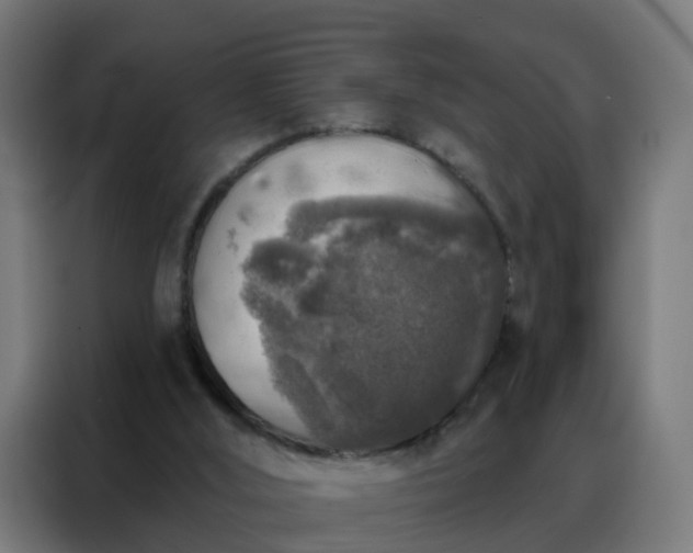X0000088180012200705221651